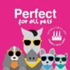 Illustration of various animals sporting sunglasses and bandanas against a pink backdrop. The text reads "Perfect for all pets" and "Ideal for coats with hair under 4 inches long," accompanied by a graphic of the Coat Shedding Comb, showcasing its shedding benefits.