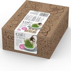 A brown cardboard box adorned with floral designs features a label depicting a cat munching on grass. The label reads "Catit Cat Grass Seeds (Set of 3)," showcasing the product and emphasizing that the kit produces grass for cats to enjoy.